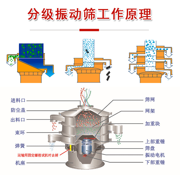 分級振動篩內部結構：進料口，防塵蓋，出料口，束環，彈簧，機座，篩網，網架，上部重錘，振動電機，下部重錘。